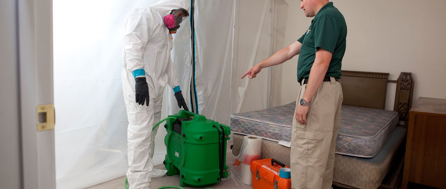 Evesham, NJ mold removal process